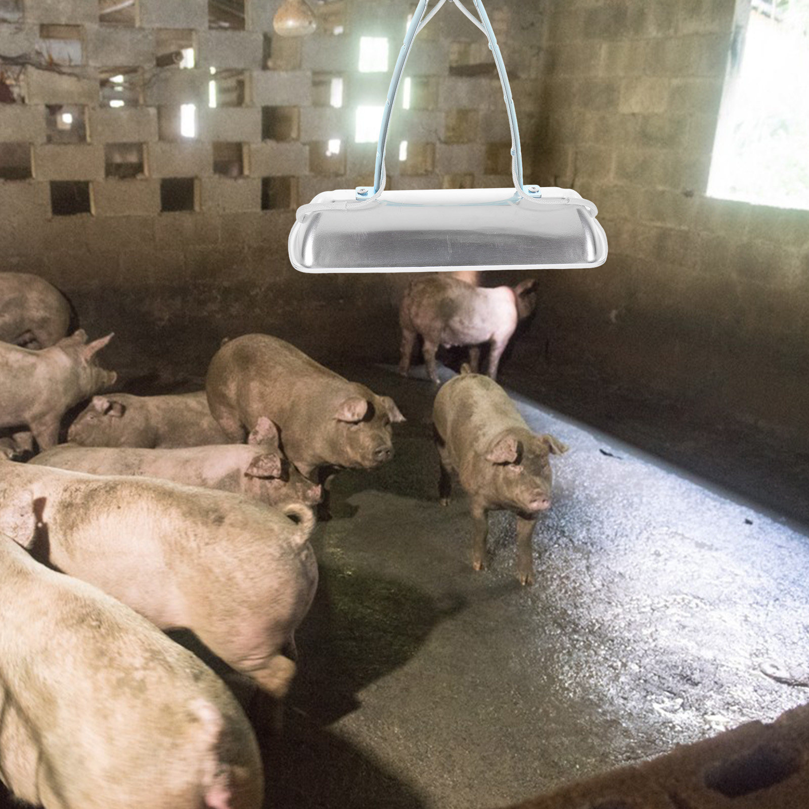 Farming & Agriculture Word Stacks - Lampe de préservation pour élevage porcin,