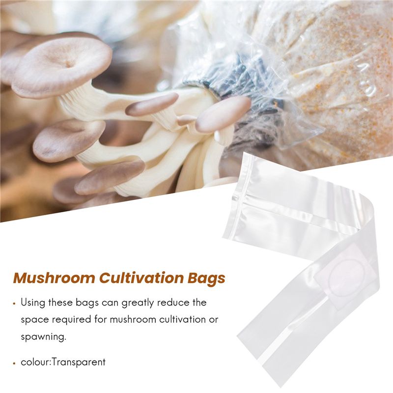 100 sacs de culture de champig - Mushroom Spawn Bag avis et prix