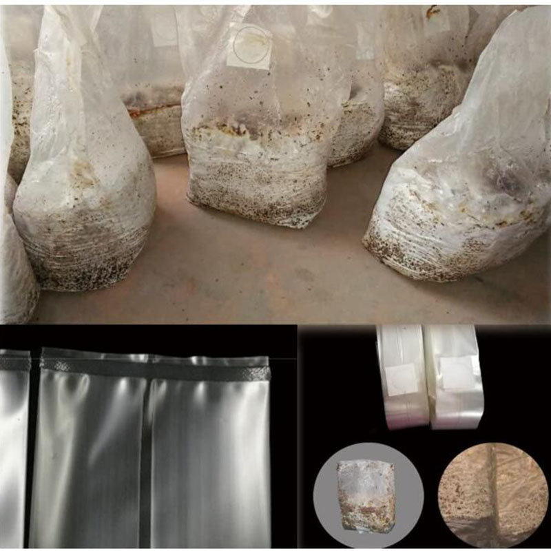 10x18x35 cm 50 cm champignon S - Mushroom Spawn Bag avis et prix