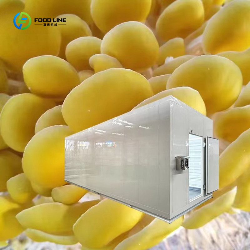 Système de culture de champign - Smart Farming Technology In Agriculture avis et prix