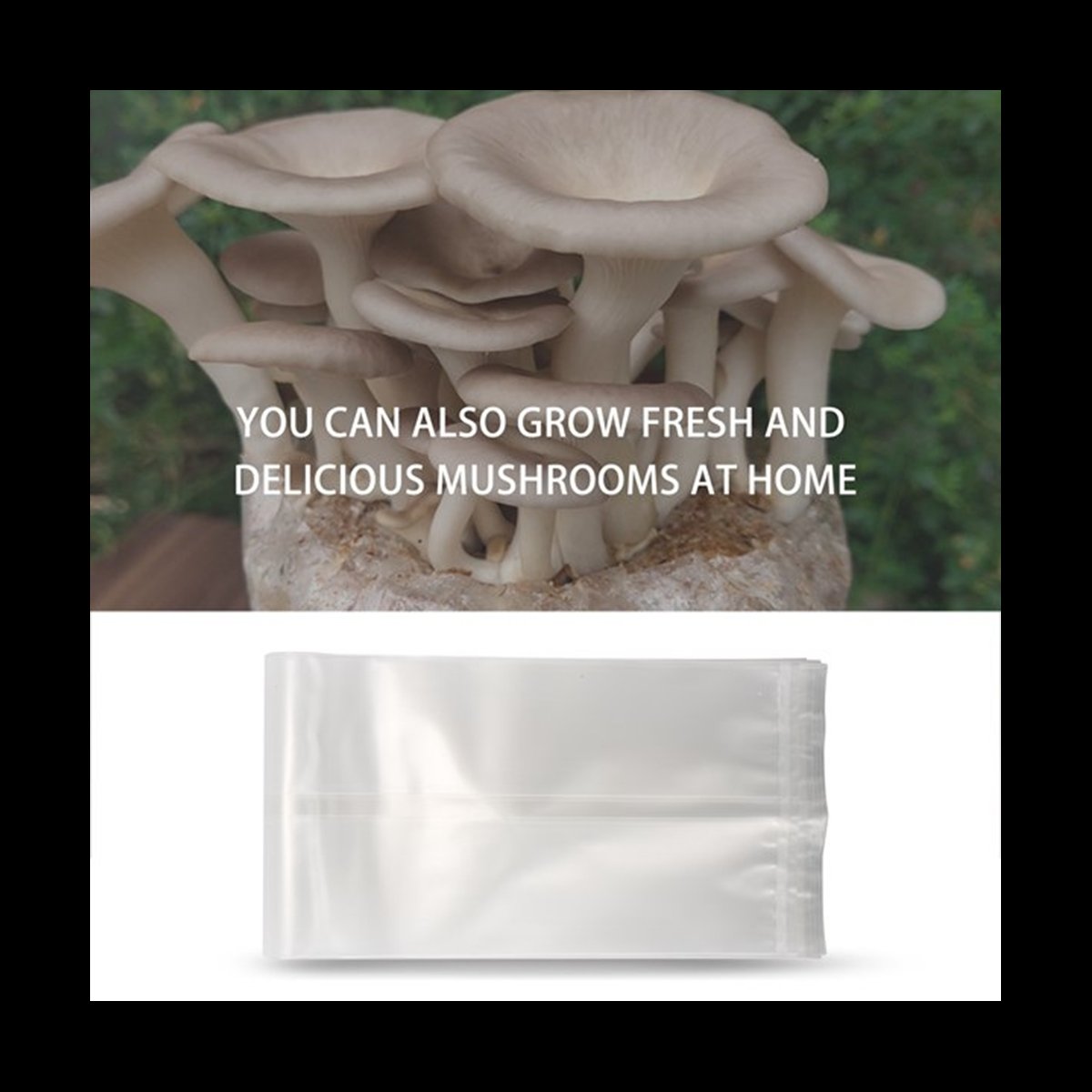 A78I 50 sacs de champignons/sa - Mushroom Spawn Bag avis et prix